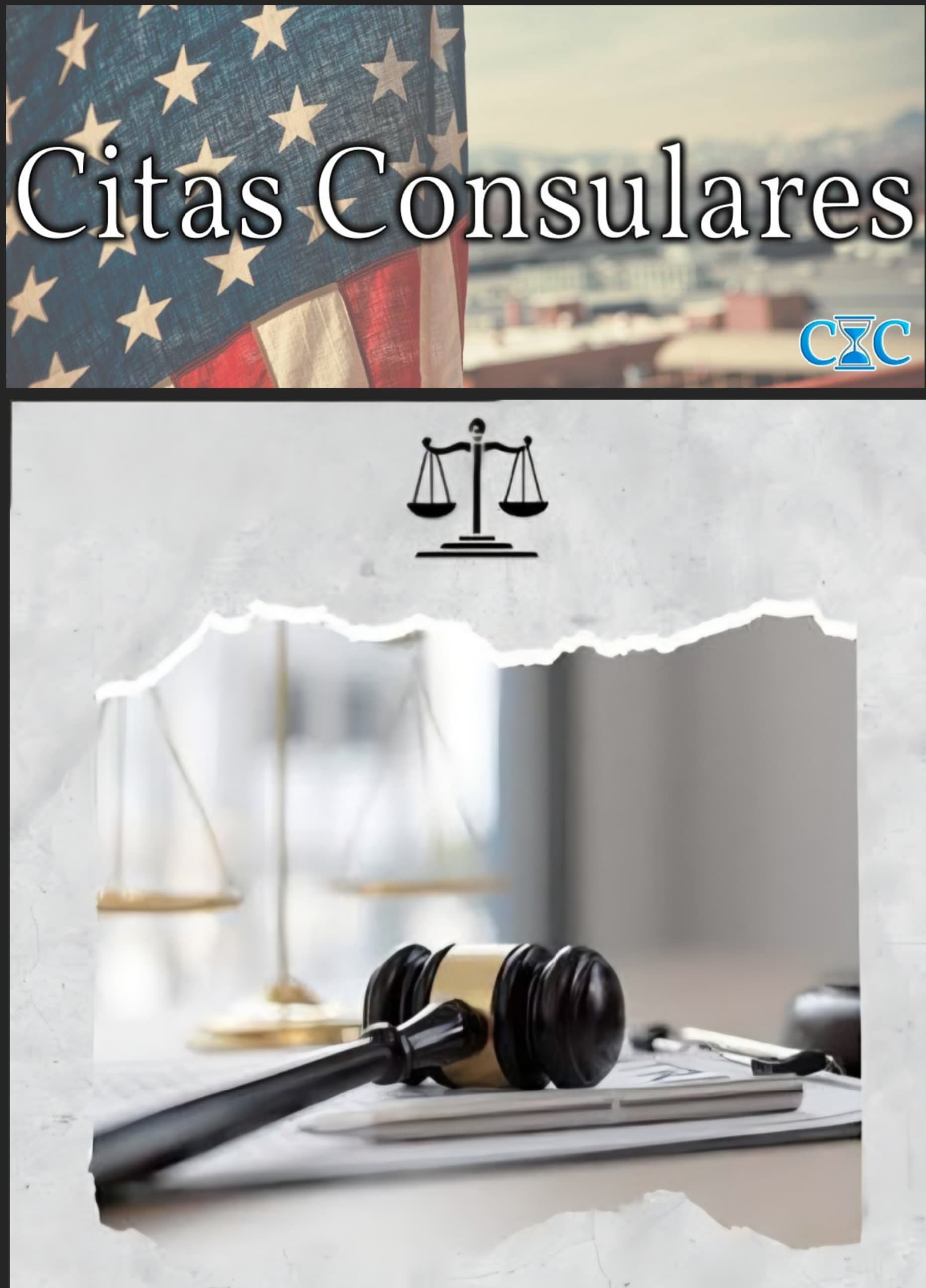 CONSULAR APPOINTMENTS